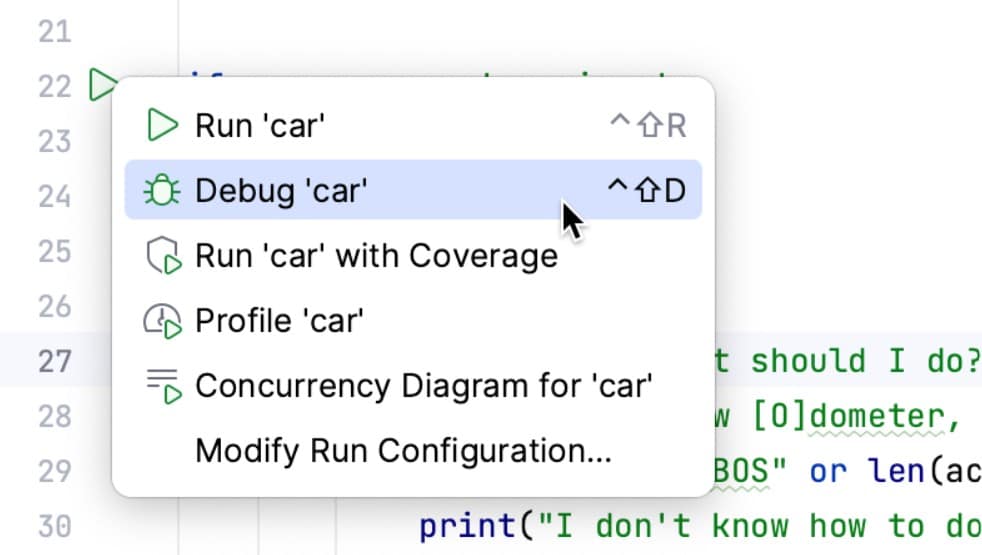 Jetbrains pycharm debug python